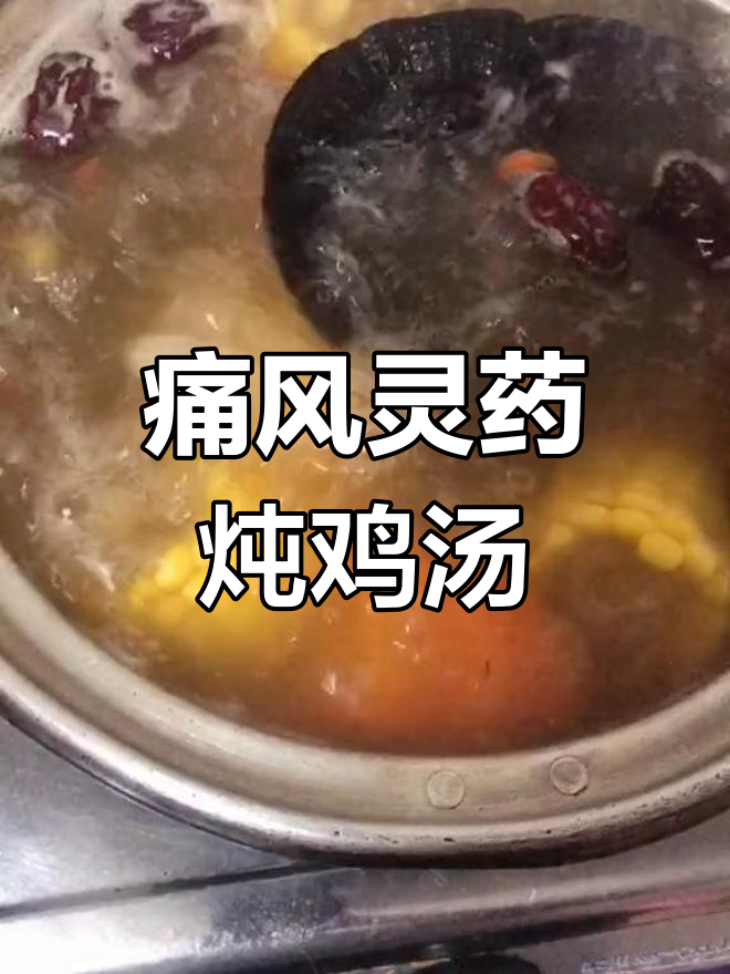 灵芝乌鸡猪骨汤,痛风患者必备