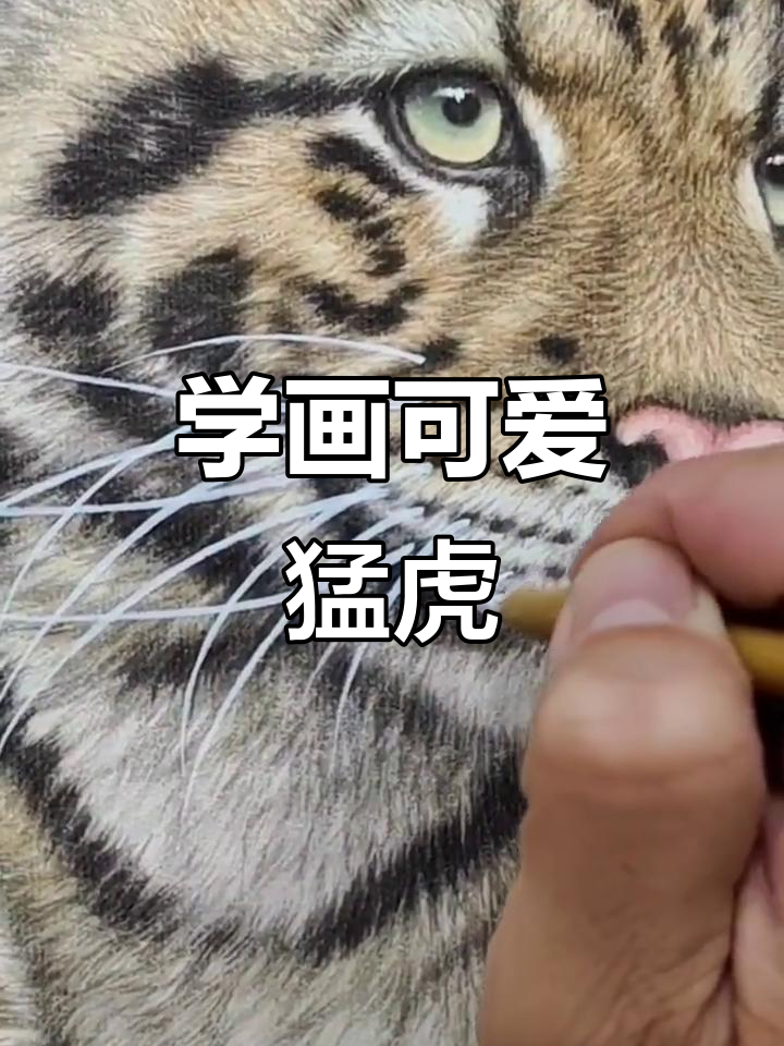 零基础学工笔,画出栩栩如生的老虎