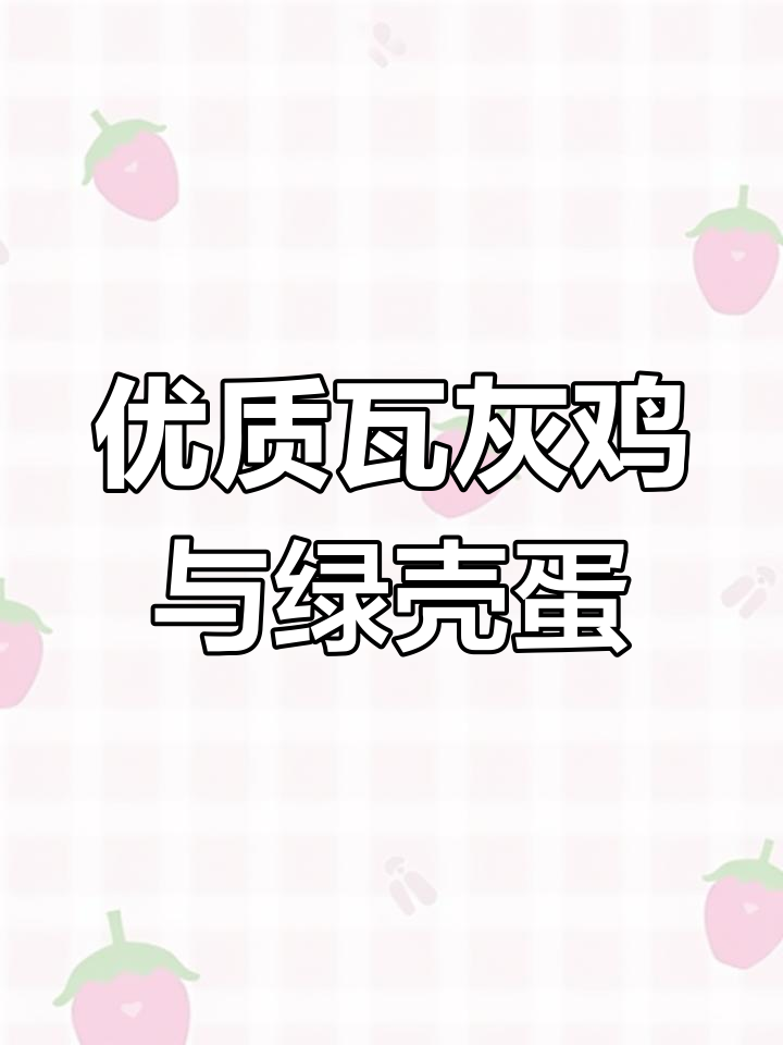 瓦灰鸡绿壳蛋,品质优良,有需求的朋友请联系我们