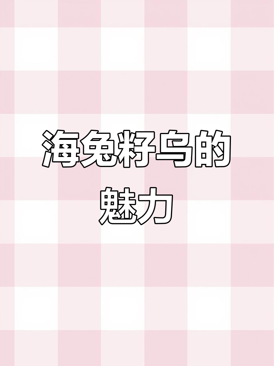 连云港海兔籽乌:带籽鱿鱼仔的美味秘密
