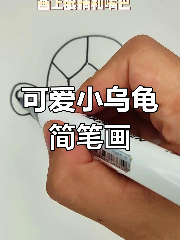 超简单小乌龟画法,轻松学会!