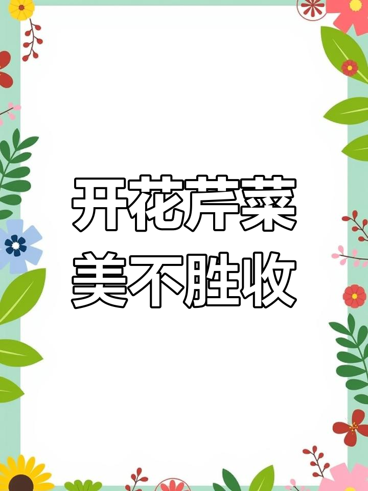 2024年彩虹袜芹菜开花,急不可待的美丽绽放