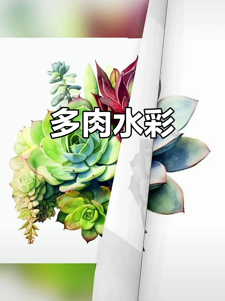 水彩画多肉,展现自然之美