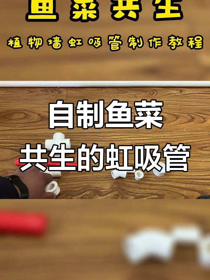 鱼菜共生植物墙虹吸管制作全攻略,轻松DIY