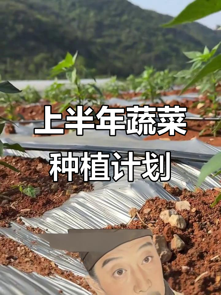 2026年上半年蔬菜种植全攻略,时间表一览无余