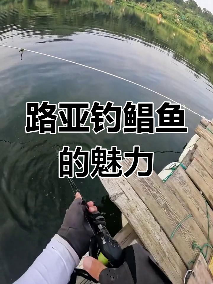 淡水GT鲳鱼路亚技巧大揭秘,如何用饵钓获强力拉力