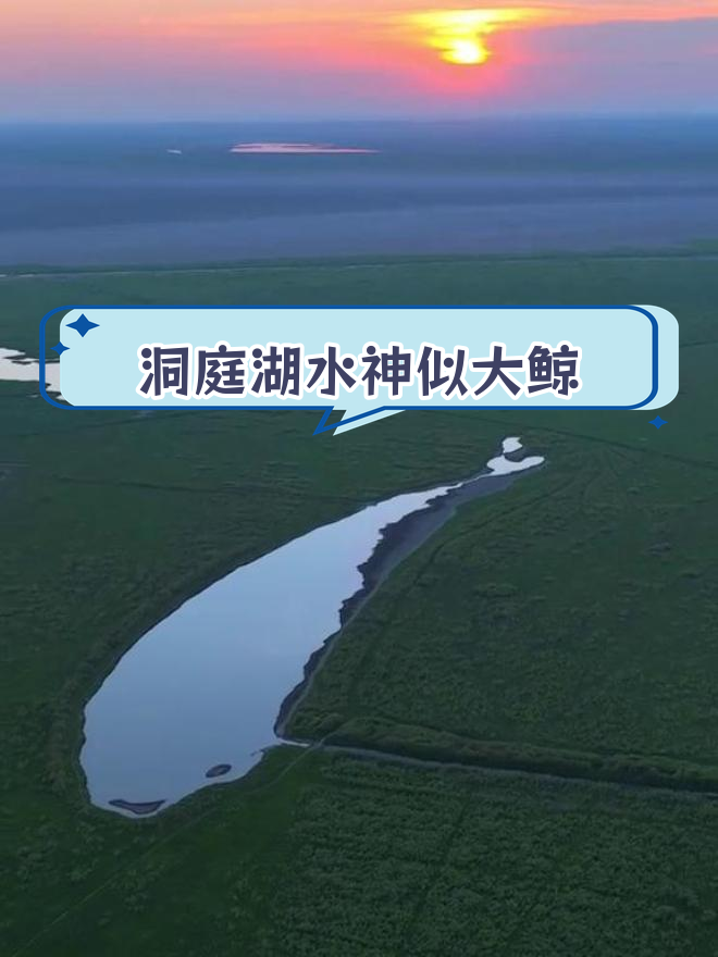 岳阳洞庭湖现“鲸鱼”奇景,寓意何在?
