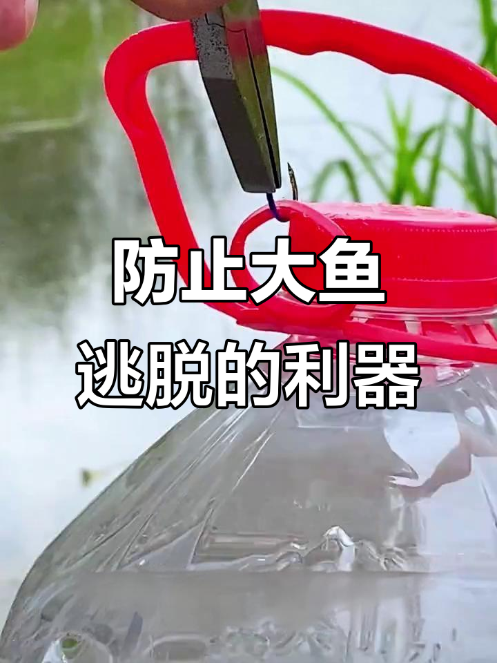 伊势尼鱼钩,鲤鲫钓手必备!防脱跑鱼的秘密武器