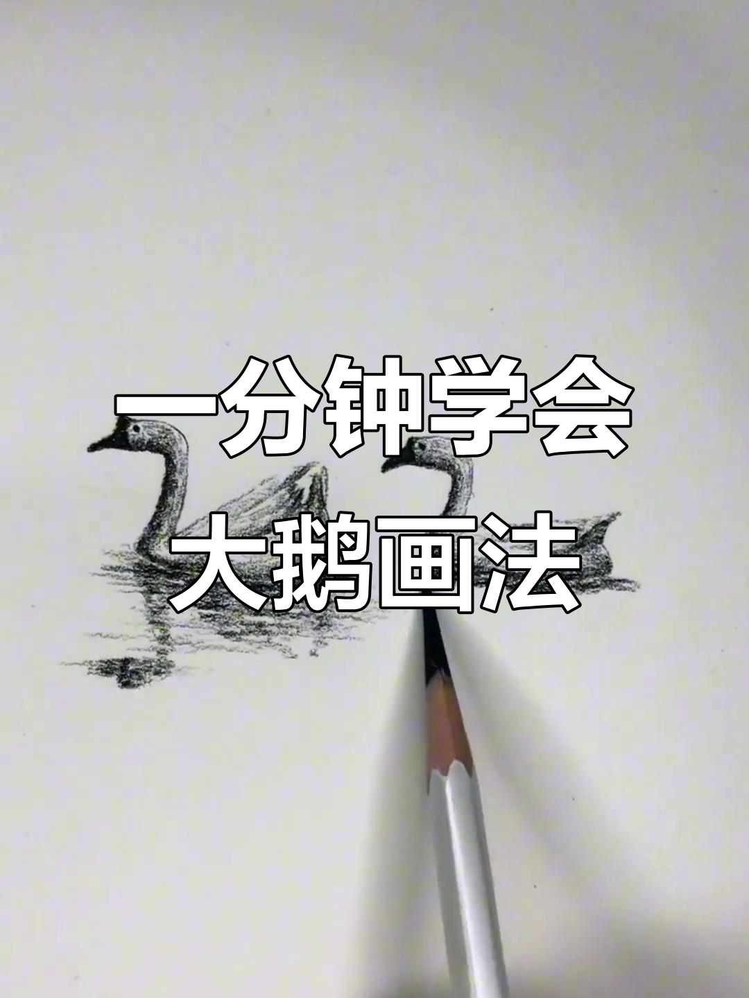 轻松学画大鹅，简单步骤教你画出栩栩如生的倒影