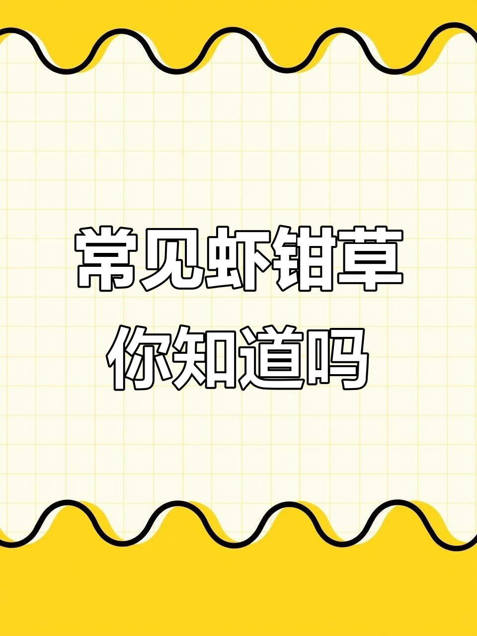 你见过虾钳草吗?这种植物你认识吗