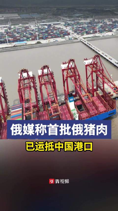 「俄媒称 首批俄罗斯猪肉已运抵中国港口」4月14日 据参考消息 据俄媒当地时间13日报道,