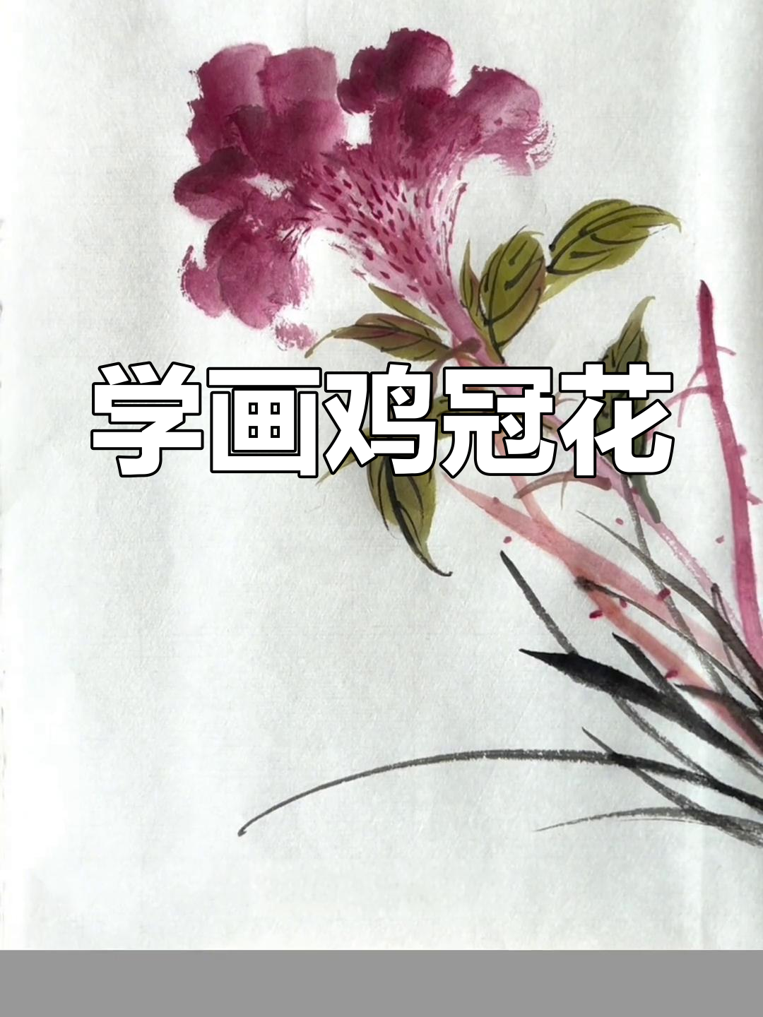 鸡冠花国画绘制技巧