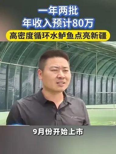 一年两批，年收入预计80万。高密度循环水鲈鱼点亮新疆 高密度循环水养殖 水产资讯 加州鲈鱼