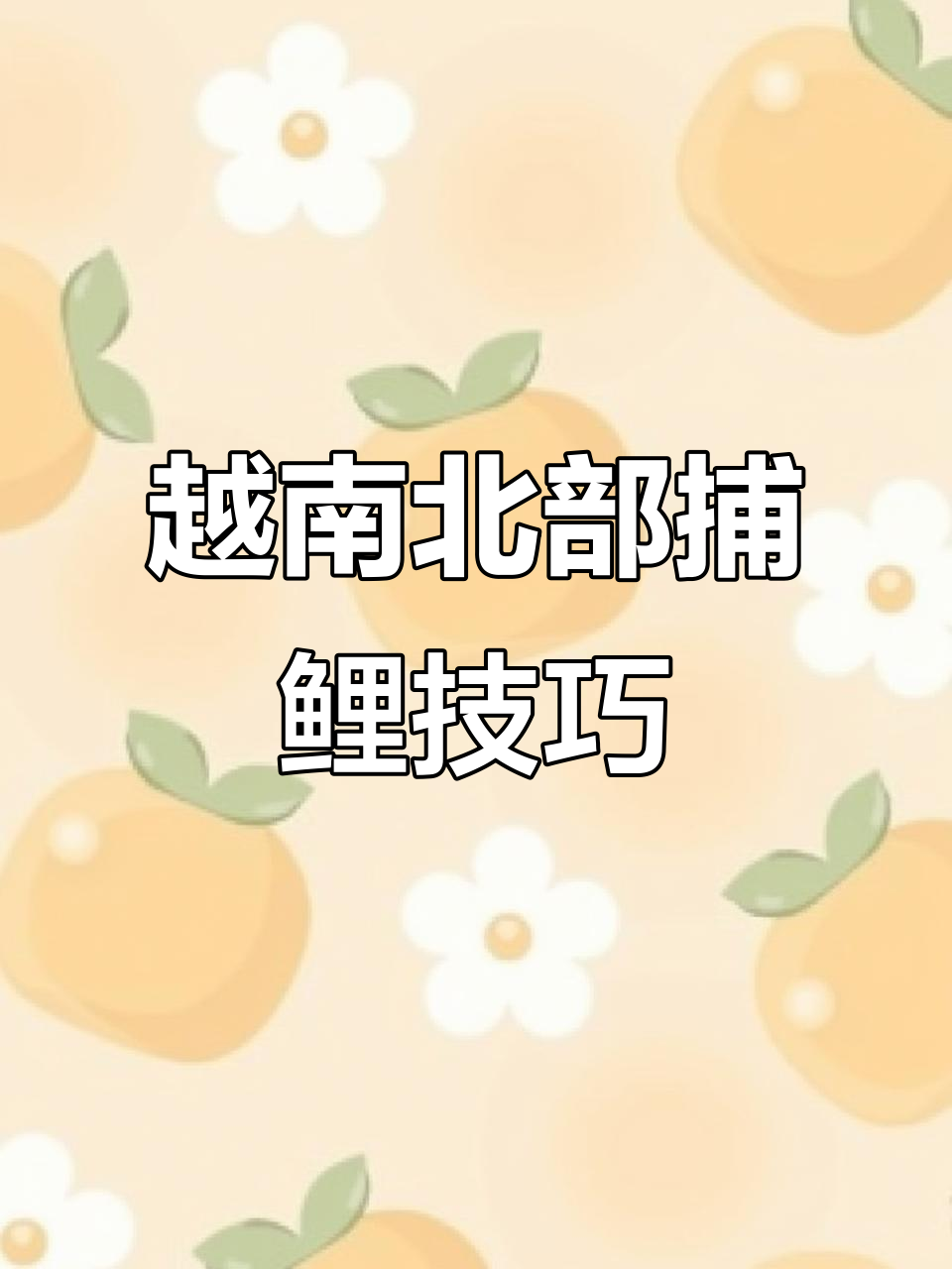 越南北部合法捕鱼，锂电池高压电神器一抓就中