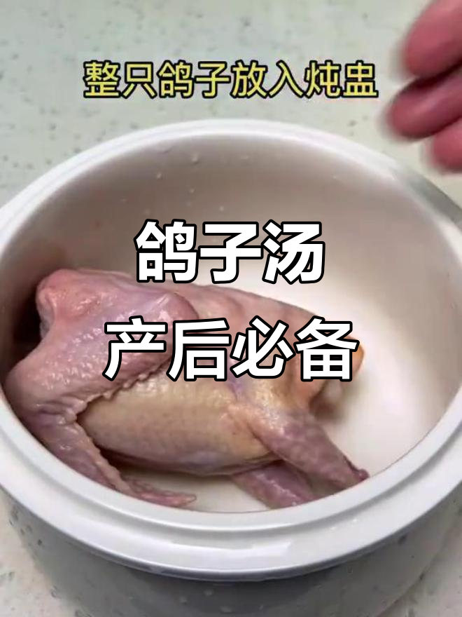 产妇必吃!这道鸽子汤滋补又美味,电炖锅轻松做