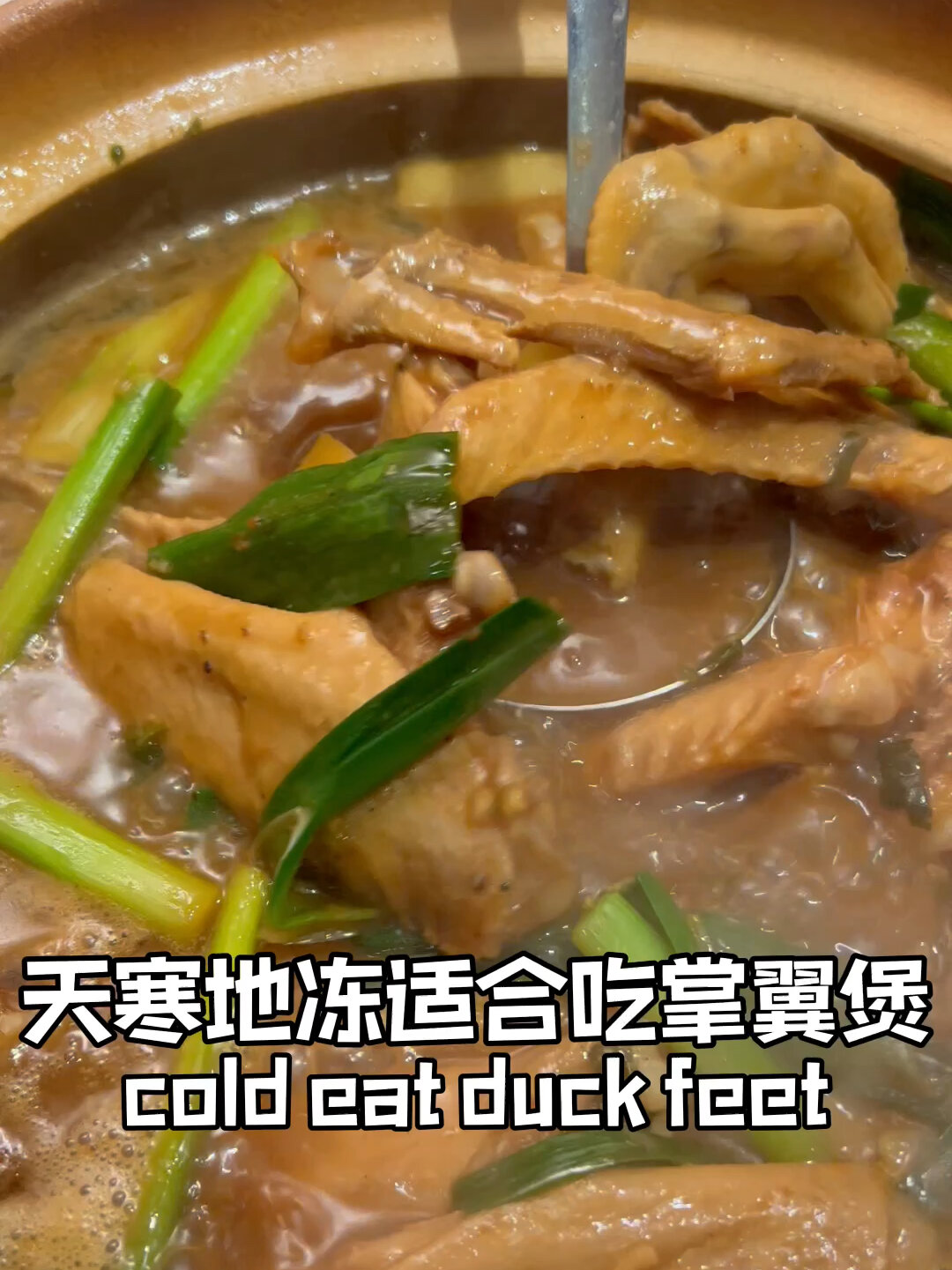广州23年老字号秘制掌翼煲地道广式味道