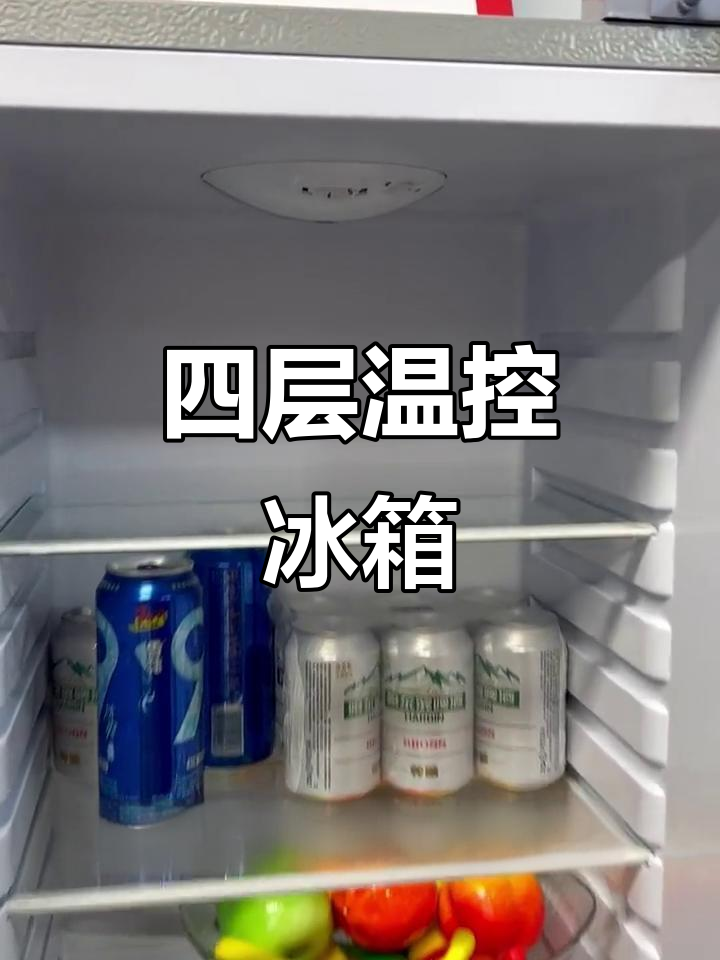 志高冰箱,四层冷藏,温度可调,夜间照明更便捷
