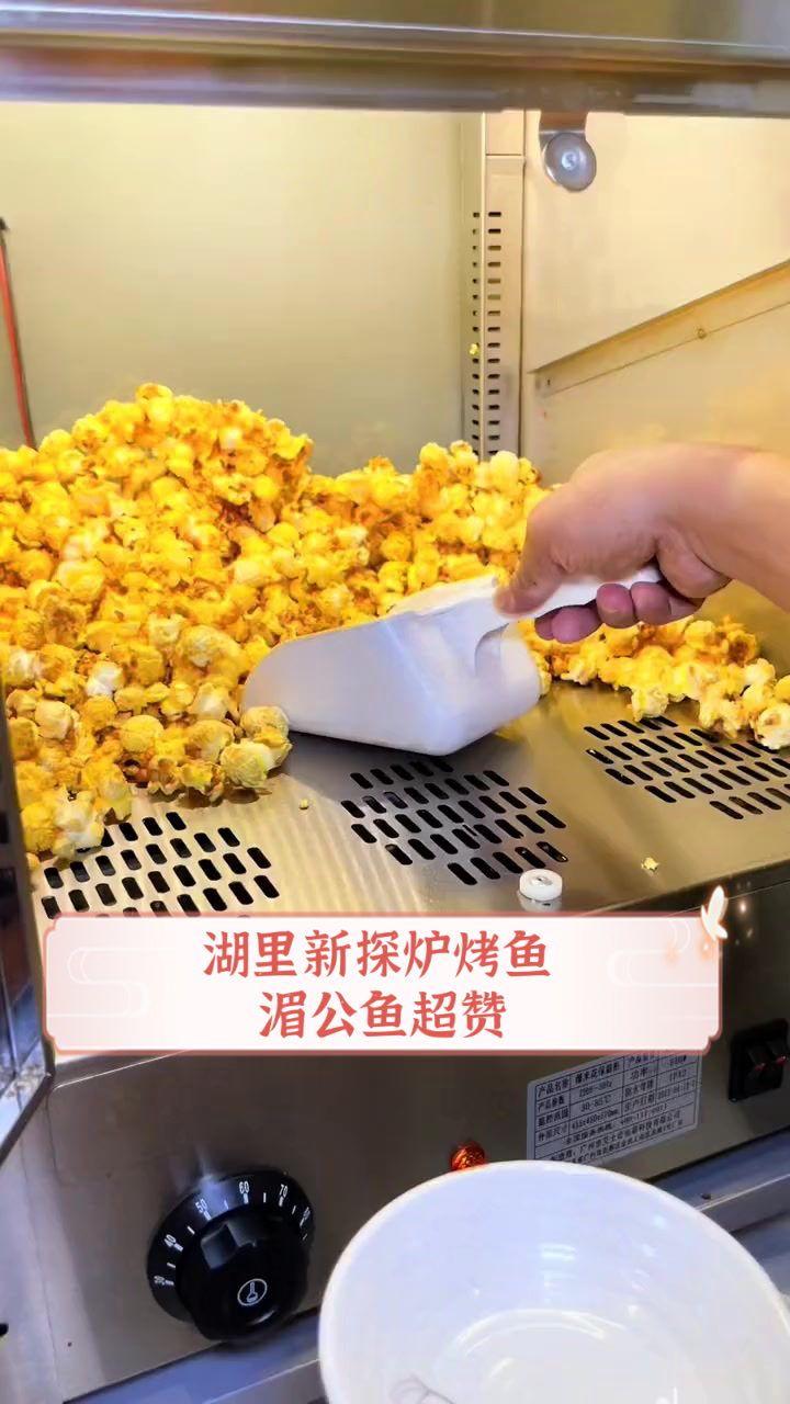 湖里新探炉烤鱼，湄公鱼超赞