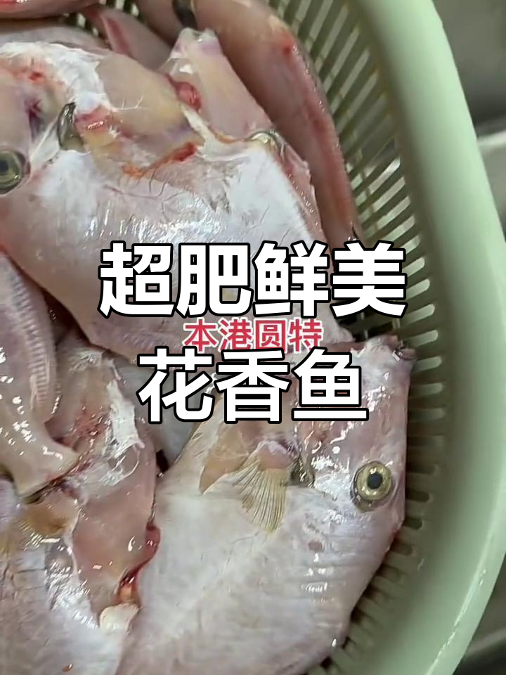 潮汕鲜海鱼,肥嫩圆润!清中处理后超美味