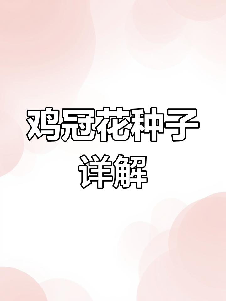 鸡冠花种子:了解如何种植与养护