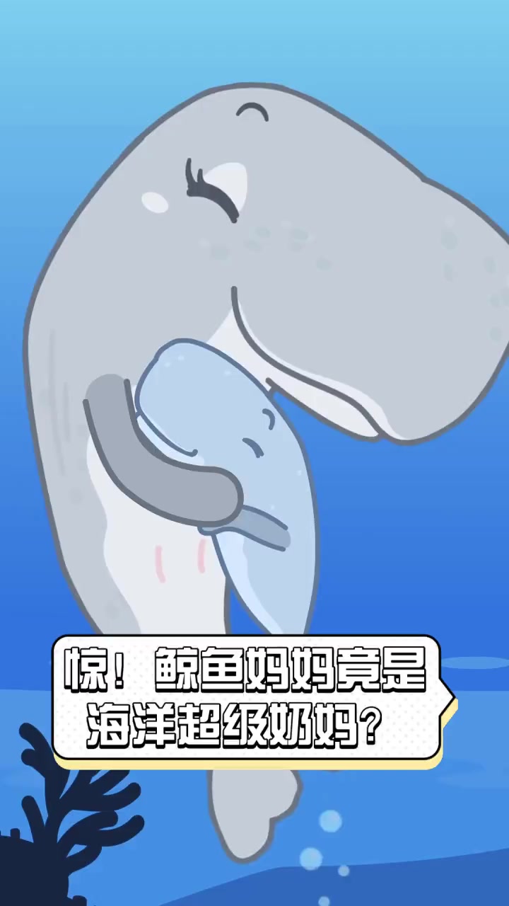 惊!鲸鱼妈妈竟是海洋超级奶妈?