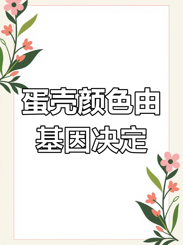 鸡蛋壳颜色的遗传奥秘