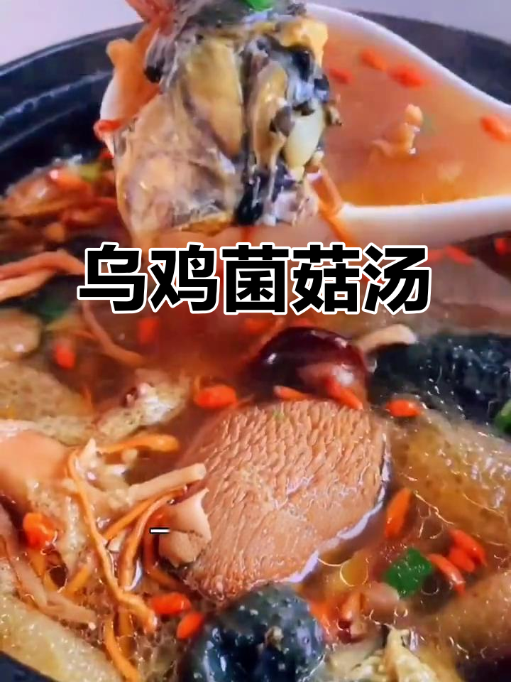 乌鸡菌菇汤,滋补美容又暖心,冬季必喝!