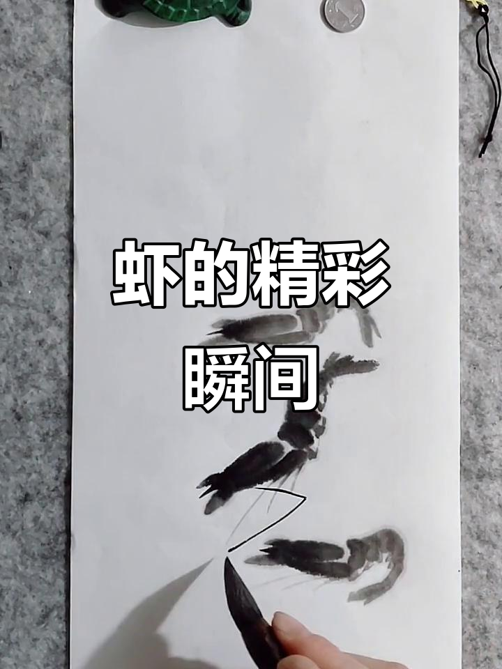 虾的趣味动态大赏,看它们如何舞动身姿