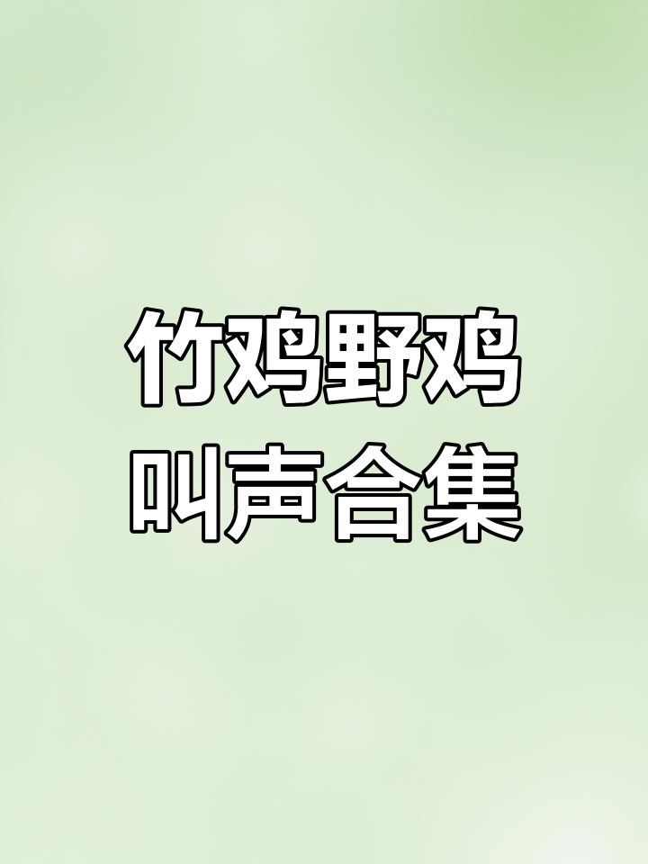 竹鸡与野鸡的户外叫声,冲堂音大比拼