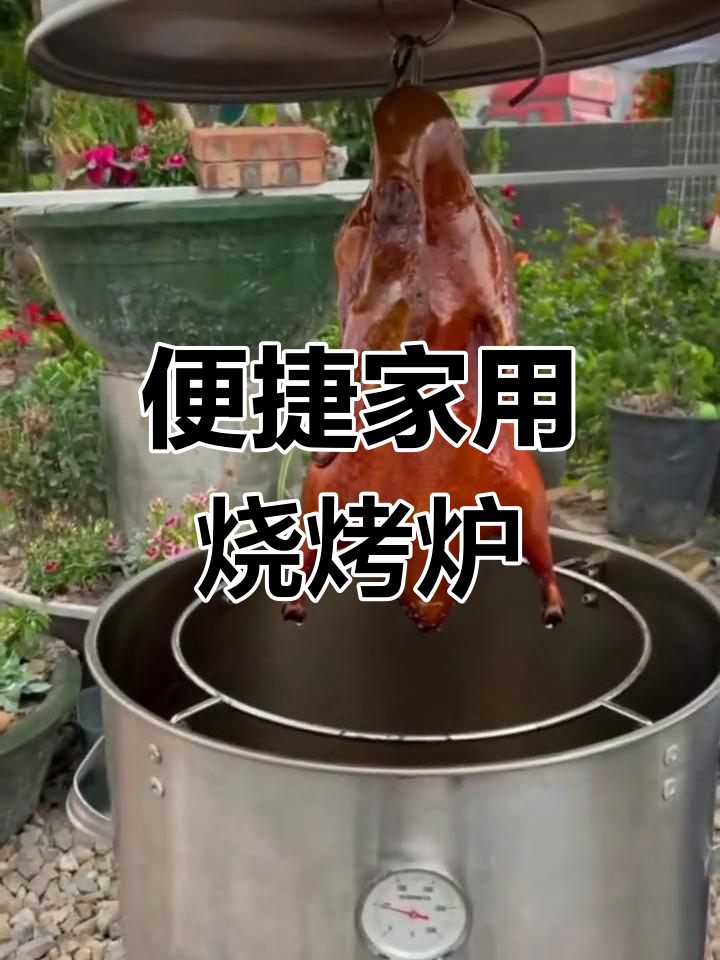 家用便携烧烤炉,户外烤鸡烧鸭必备