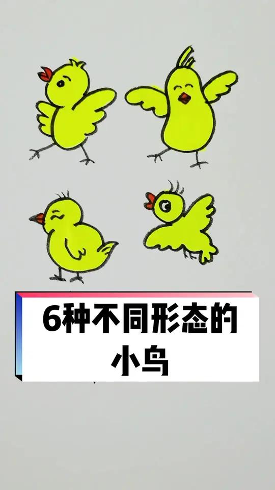6种不同形态的小鸟 一起学画画 画画 少儿美术 手绘 想画就画 儿童简笔画 简笔画教程 儿