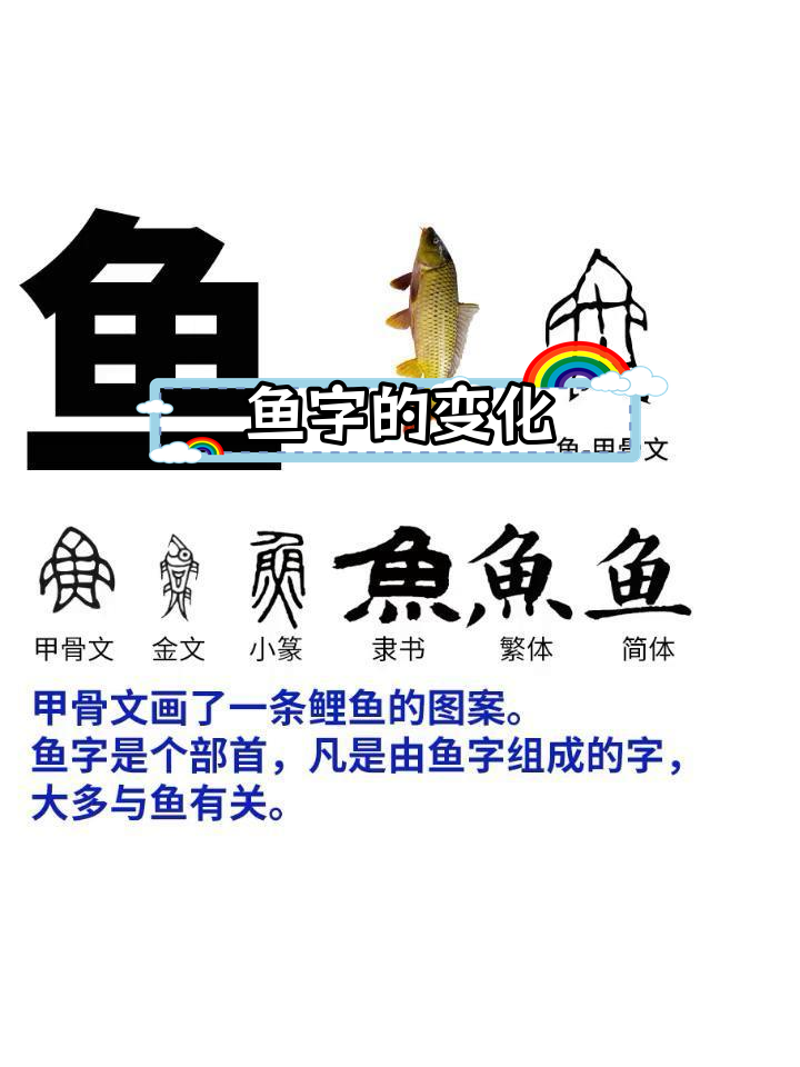 鱼字的演变过程解析
