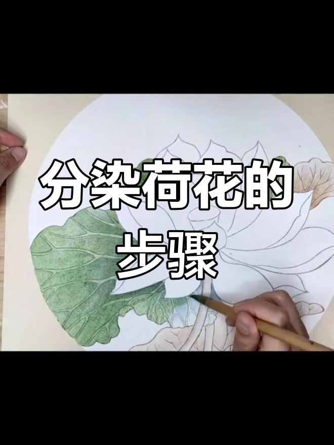 荷花工笔画分染技巧详解
