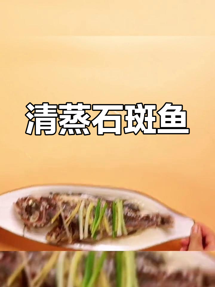 清蒸石斑鱼,鲜美做法大公开