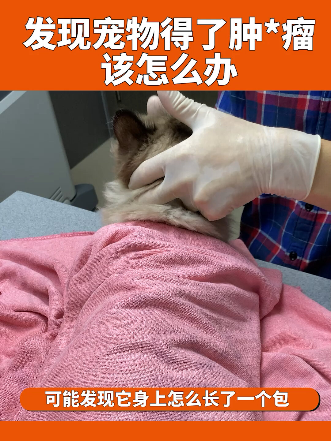狗狗身上突然长了小肉瘤!