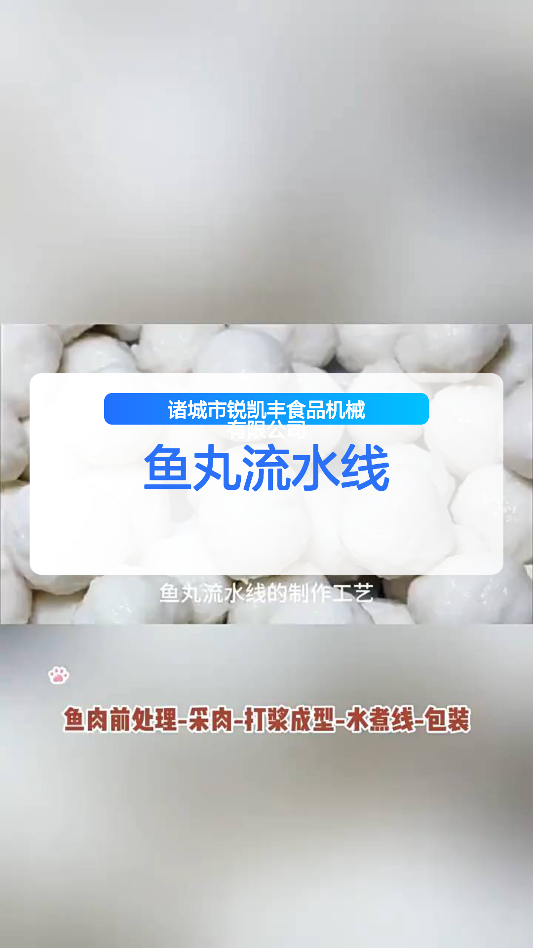 鱼丸流水线全套设备