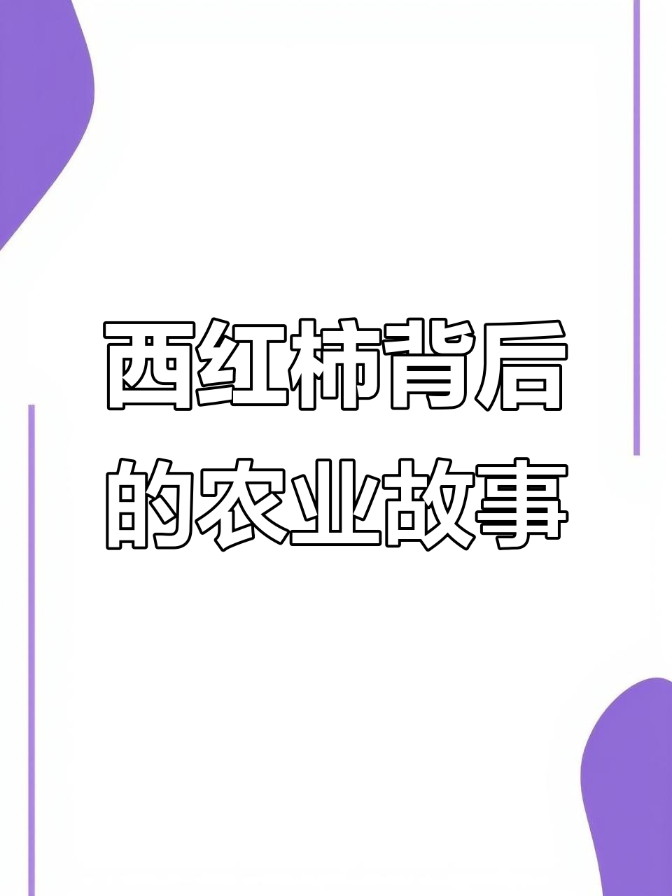 寿光菜博会:西红柿的魅力与三农故事