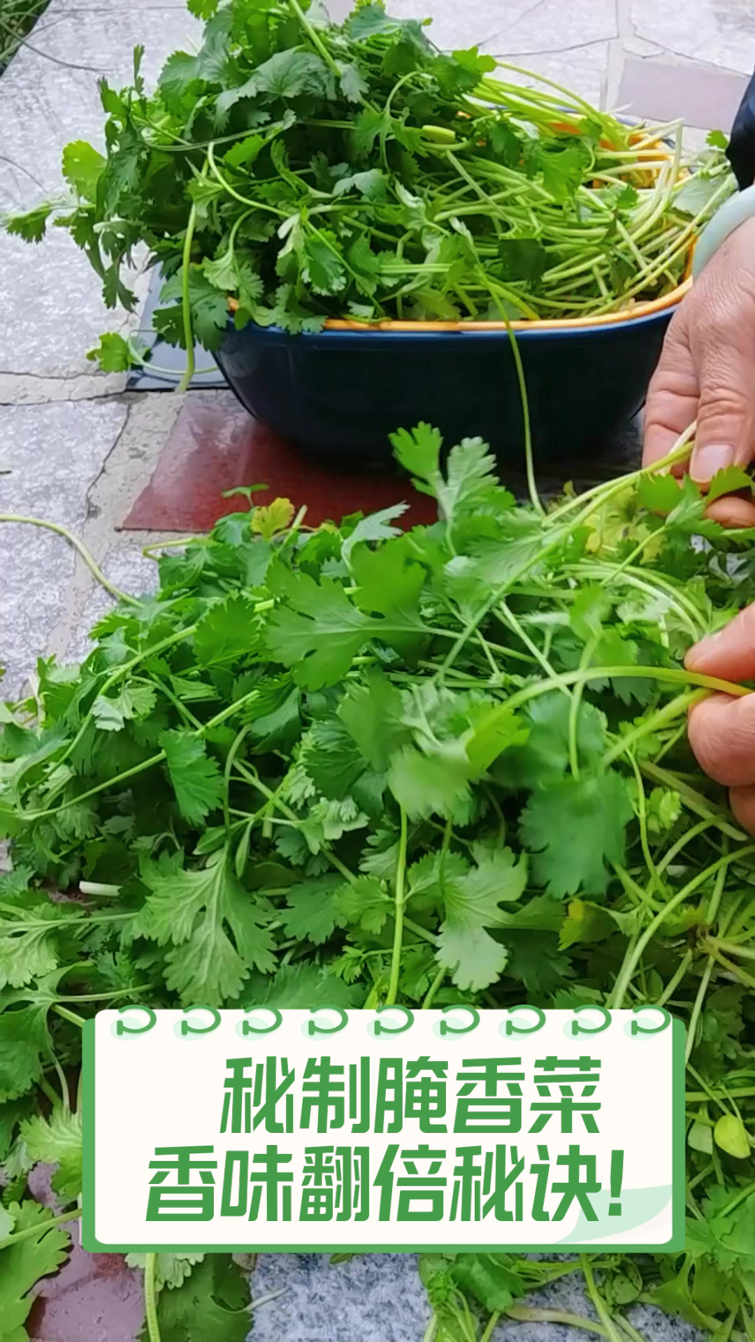 秘制腌香菜,香味翻倍秘诀!