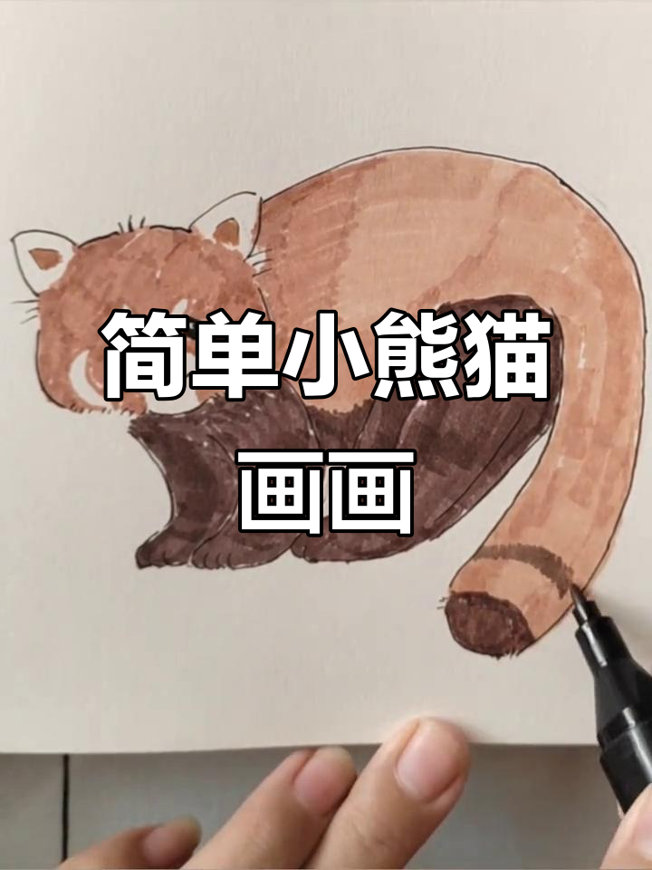 小熊猫简笔画,轻松学会画可爱萌宠