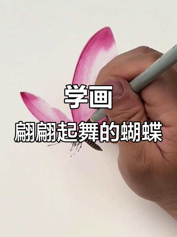 轻松学画蝴蝶,国画技巧大揭秘
