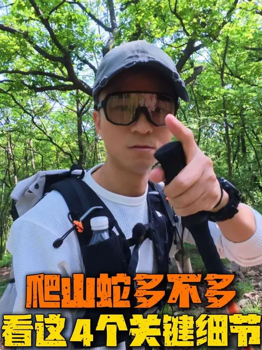 爬山蛇多不多，看这4个关键细节，山上蛇多不多？看这4个户外细节：家禽养殖区、老坟堆周边、遍