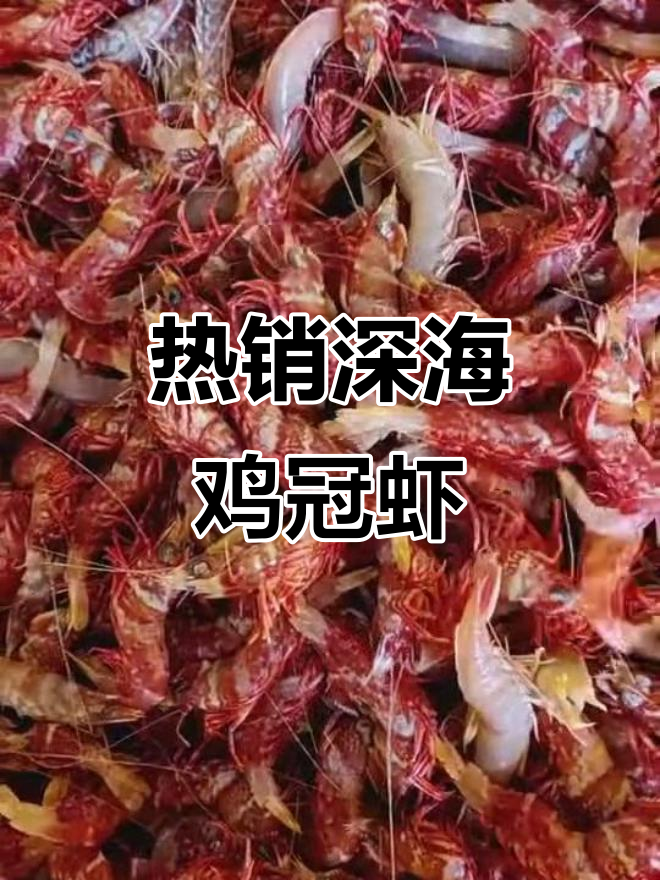 深海鸡冠虾:日料店热销美味,刺身爱好者的最爱