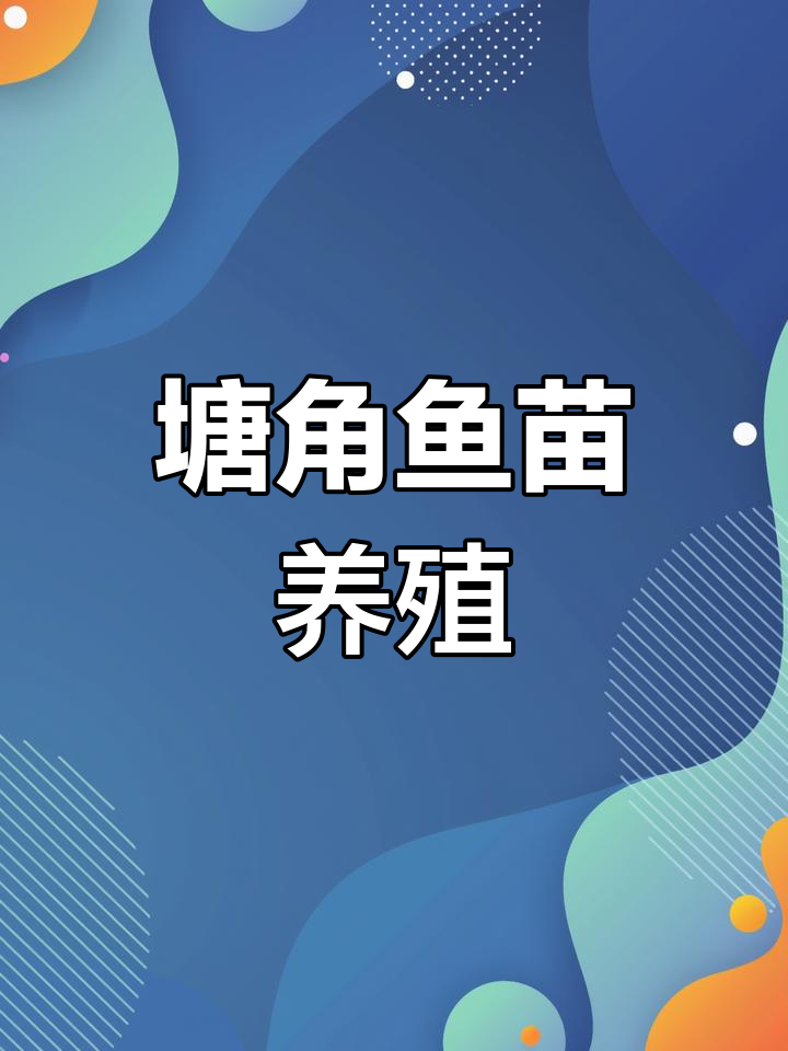 塘角鱼苗养殖技巧与市场分析