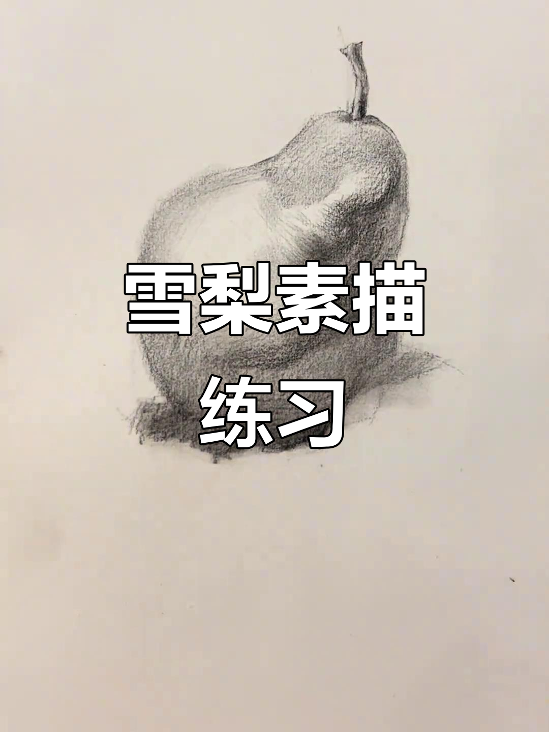 一起动手,画出雪梨的素描吧!
