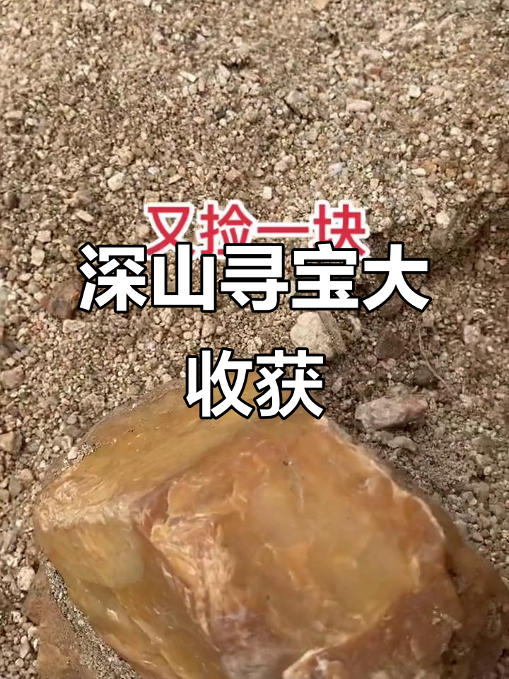 深山捡石头，意外发现黄龙鱼和火龙玉！