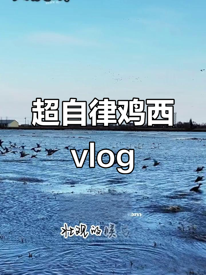 鸡西文旅自律vlog,超强自我管理挑战