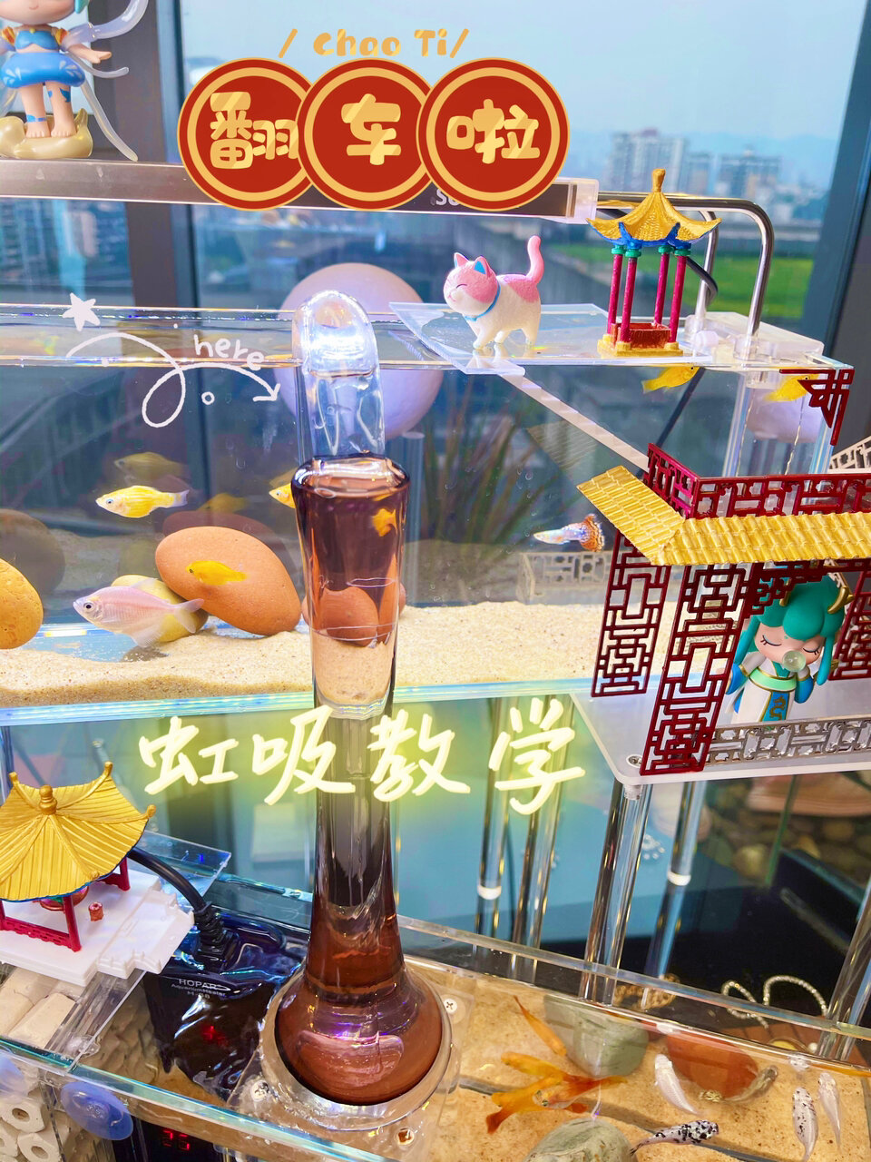 虹吸瀑布鱼缸·解锁新技能·一秒就学会