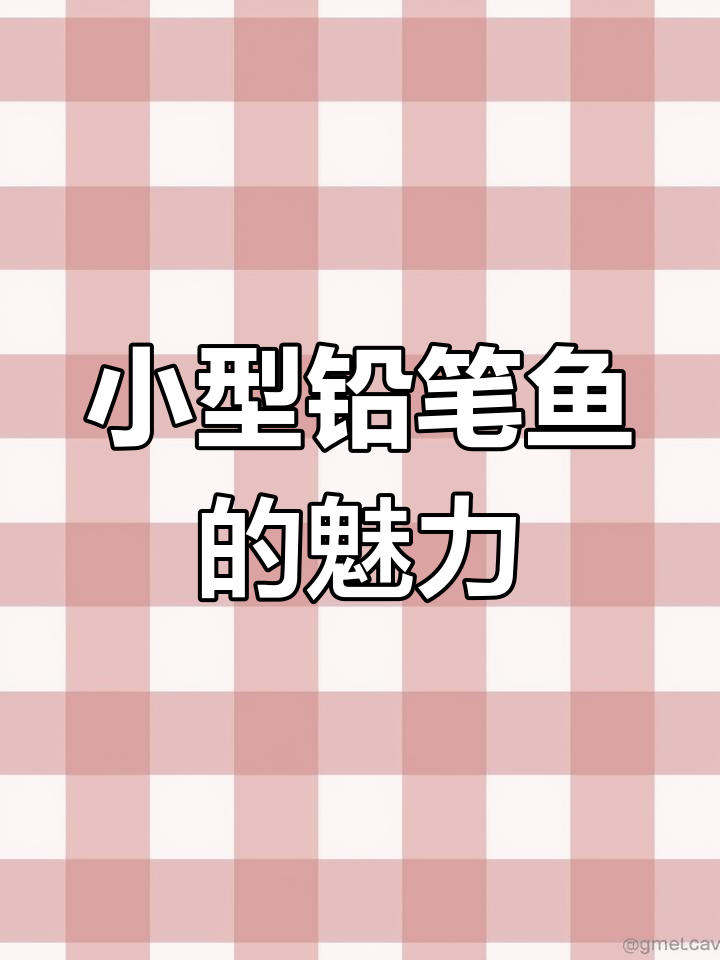 尖嘴铅笔鱼:可爱小型观赏鱼类,独特造型与温和性格