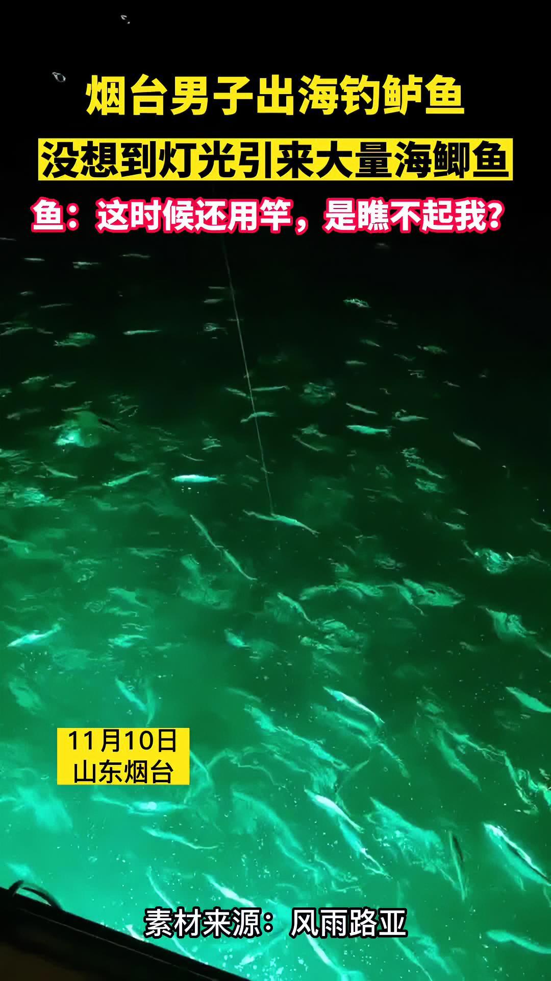 烟台男子出海钓鲈鱼,没想到灯光引来大量海鲫鱼