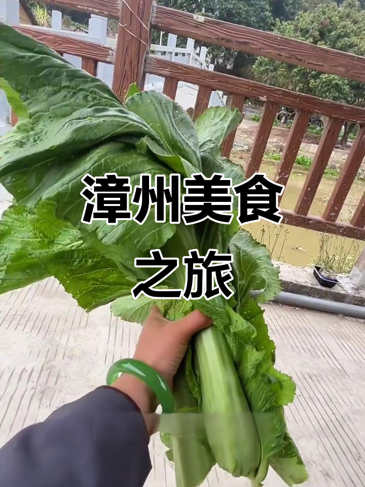 退休生活悠闲,品尝福建特色芥菜,真是美味又独特!